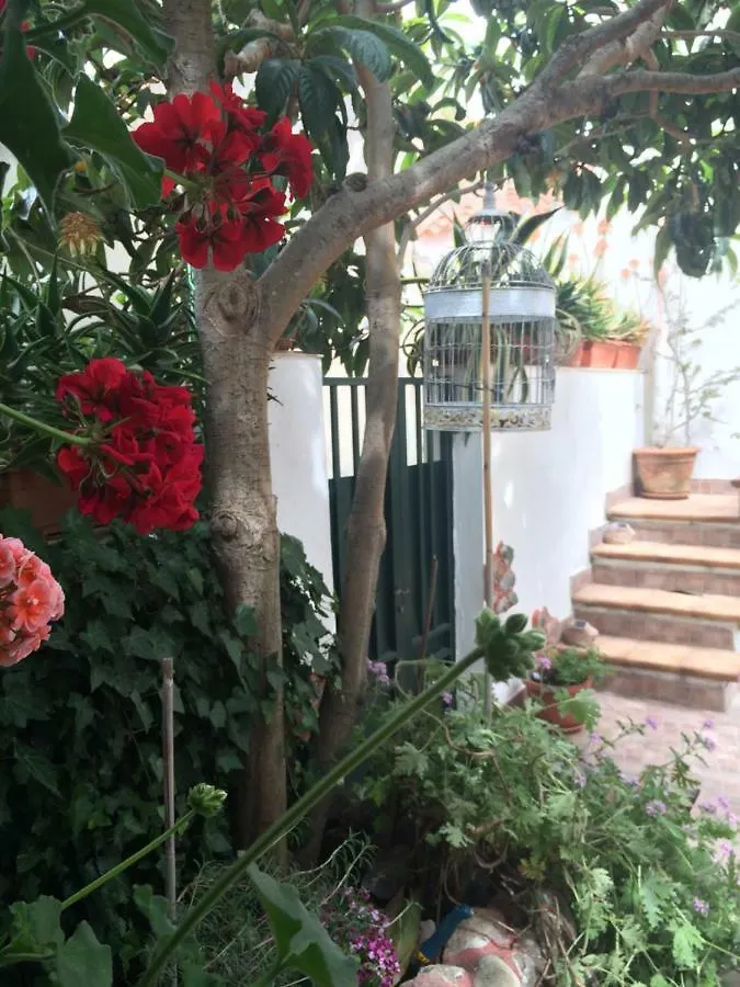 Il Nespolo Villa Modolo  0*, Modolo (Oristano)