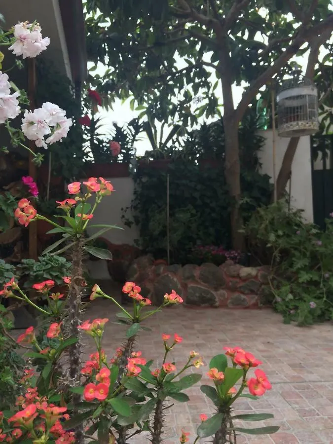 Holiday home Il Nespolo Villa Modolo